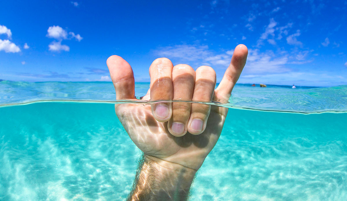 Photo: <a href=\"https://www.laserwolfphoto.com/\">Laserwolf</a>