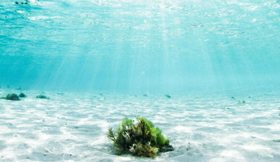 Photo: Rodrigo Ungaro