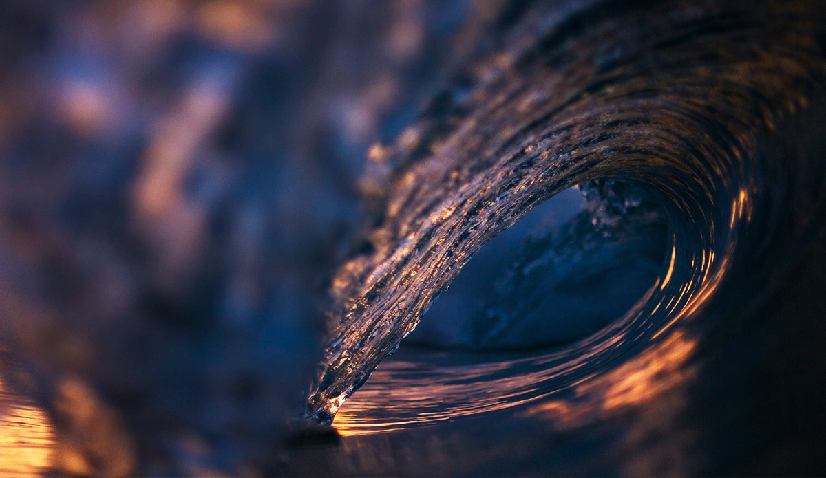 Nectar. Photo: <a href=\"https://instagram.com/mikeaguiar_\">Mike Aguiar</a>