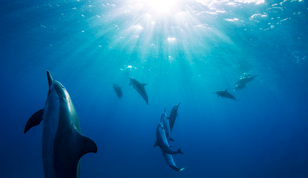 Morning dance. Photo: <a href=\"https://instagram.com/mikeaguiar_\">Mike Aguiar</a>