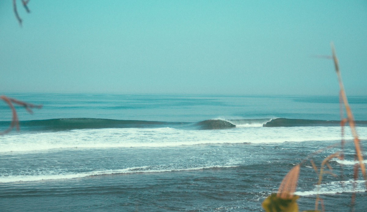 Photo: <a href=\"https://instagram.com/haydenoneill/\">Hayden O\'Neill</a>