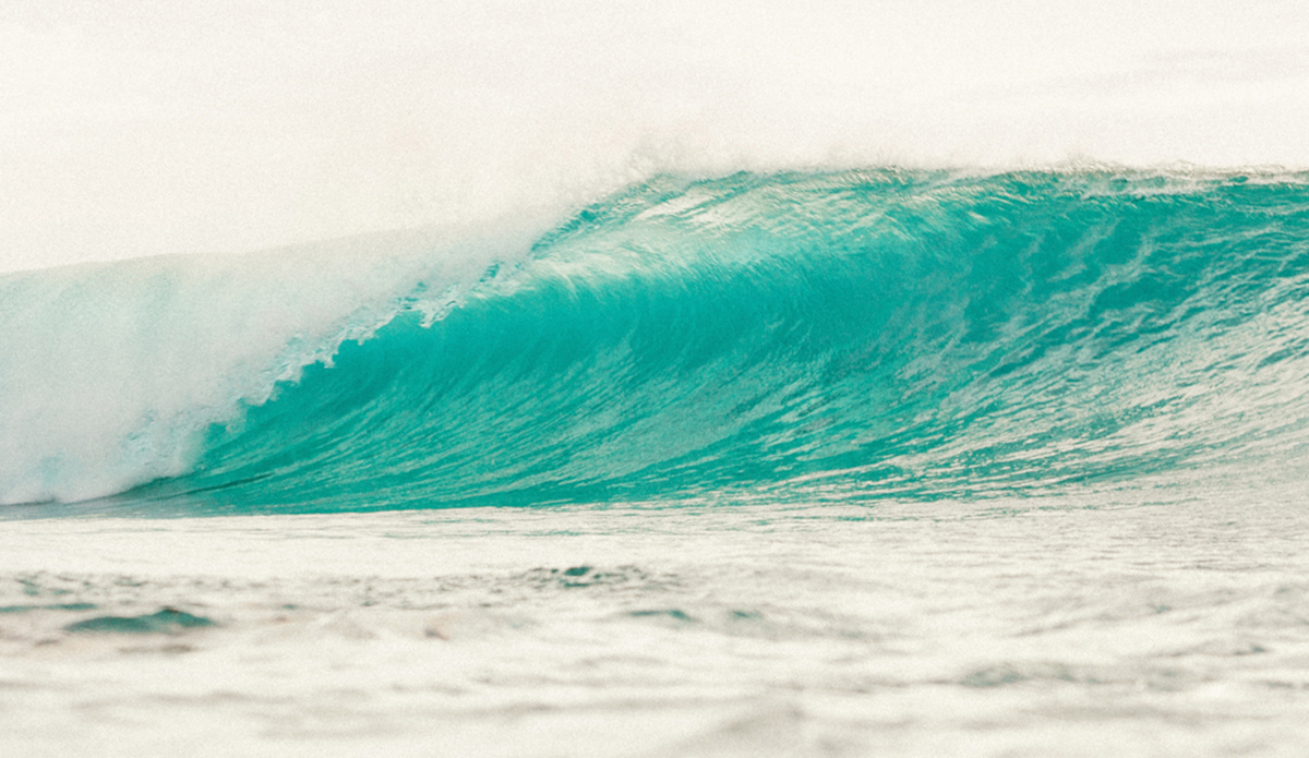 Photo: <a href=\"https://instagram.com/haydenoneill/\">Hayden O\'Neill</a>