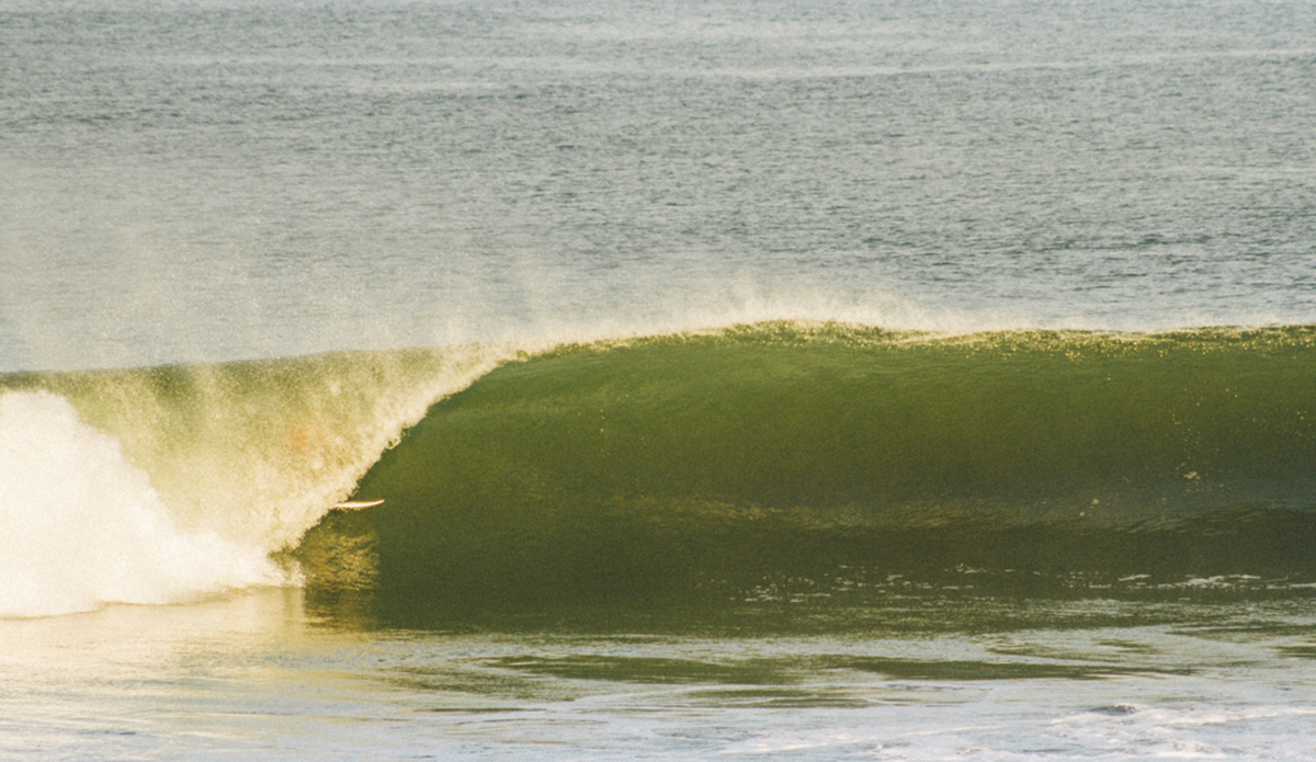 Photo: <a href=\"https://instagram.com/haydenoneill/\">Hayden O\'Neill</a>