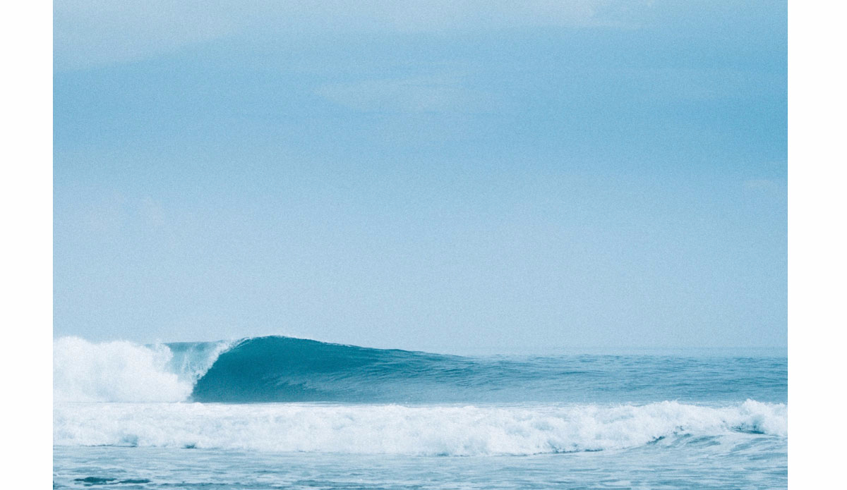 Rifling left hander. Photo:<a href=\"https://www.haydenoneillphoto.com/\">Hayden O\'Neill</a>