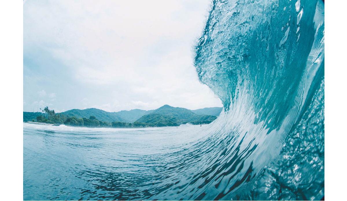 Crystal. Photo:<a href=\"https://www.haydenoneillphoto.com/\">Hayden O\'Neill</a>