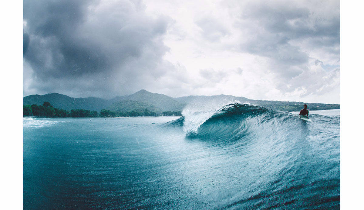 Rain barrel. Photo:<a href=\"https://www.haydenoneillphoto.com/\">Hayden O\'Neill</a>