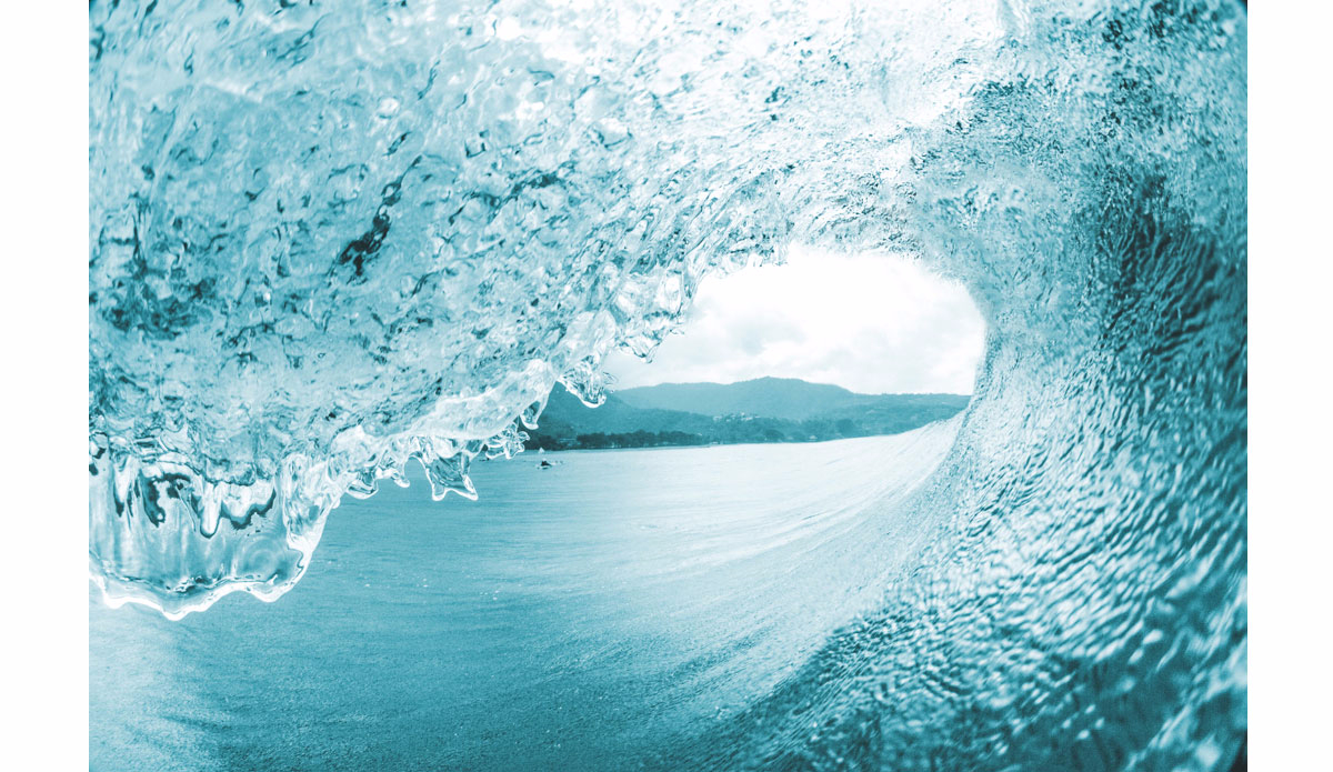 Outside looking in. Photo:<a href=\"https://www.haydenoneillphoto.com/\">Hayden O\'Neill</a>