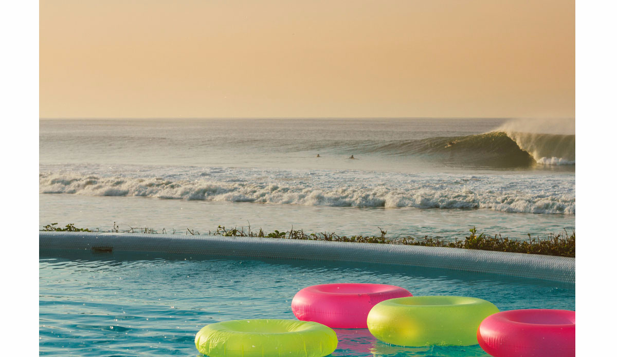 Poolside. Photo:<a href=\"https://www.haydenoneillphoto.com/\">Hayden O\'Neill</a>