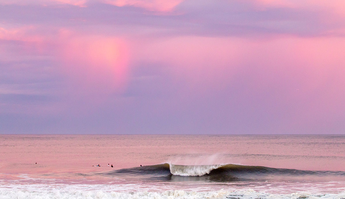 Photo: <a href=\"https://www.schultz-images.com/\">Kevin Schultz</a>