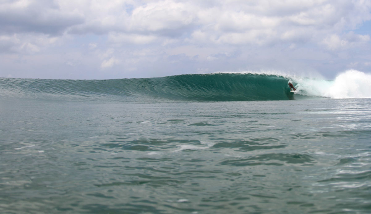 Photo: <a href=\"https://jakezphoto.blogspot.com/\">Jake Zlotnik</a>