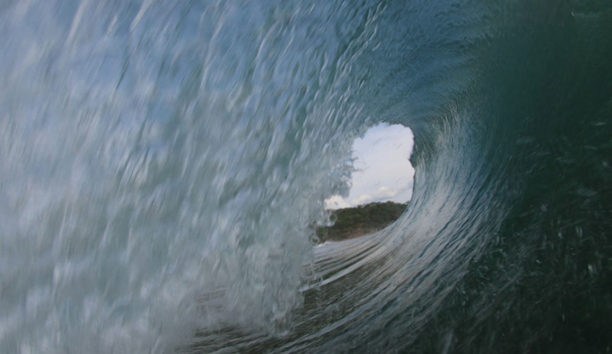 Photo: <a href=\"https://jakezphoto.blogspot.com/\">Jake Zlotnik</a>