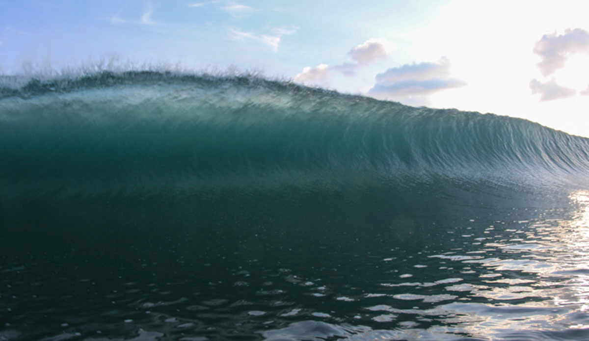 Photo: <a href=\"https://jakezphoto.blogspot.com/\">Jake Zlotnik</a>