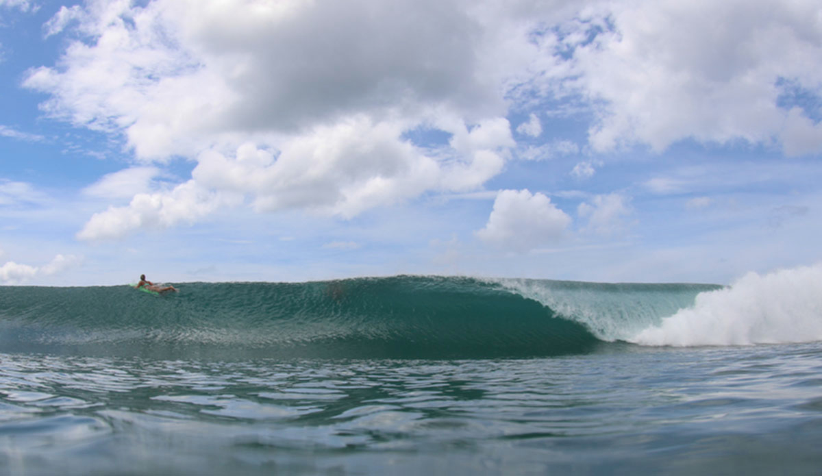 Photo: <a href=\"https://jakezphoto.blogspot.com/\">Jake Zlotnik</a>