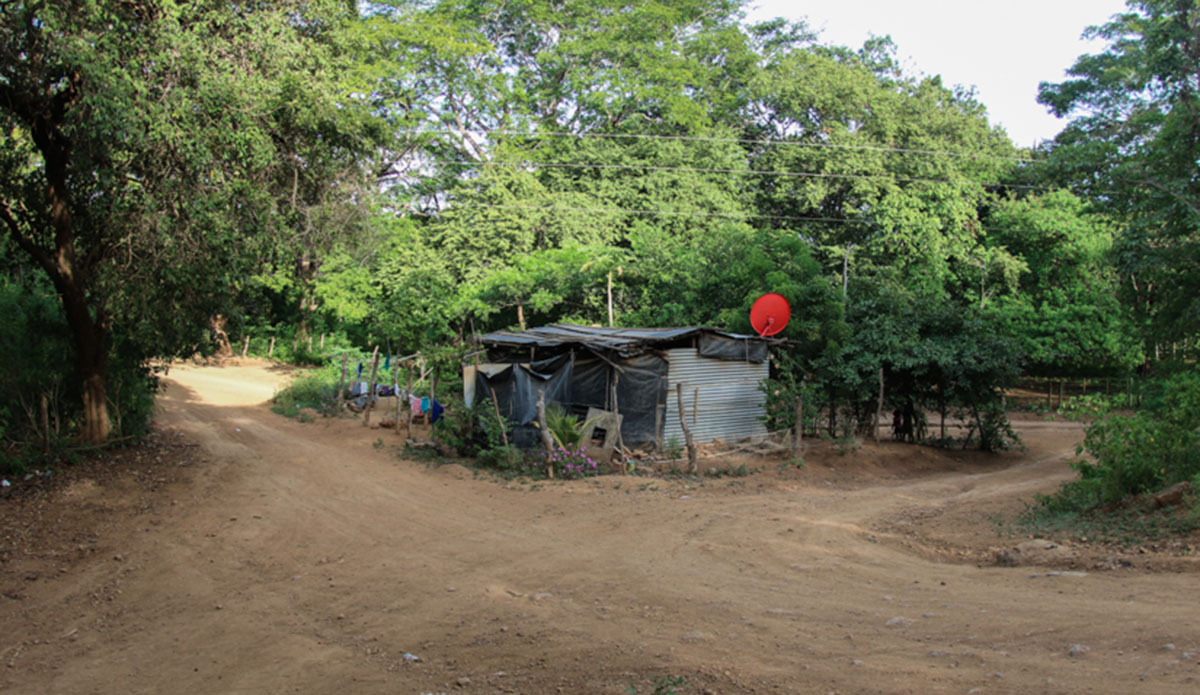 Photo: <a href=\"https://jakezphoto.blogspot.com/\">Jake Zlotnik</a>