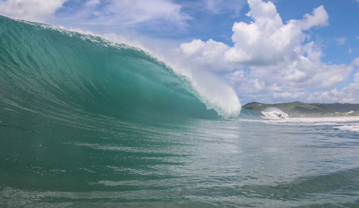 Photo: <a href=\"https://jakezphoto.blogspot.com/\">Jake Zlotnik</a>