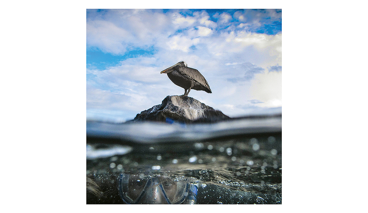 Photo: @kellymmartin89