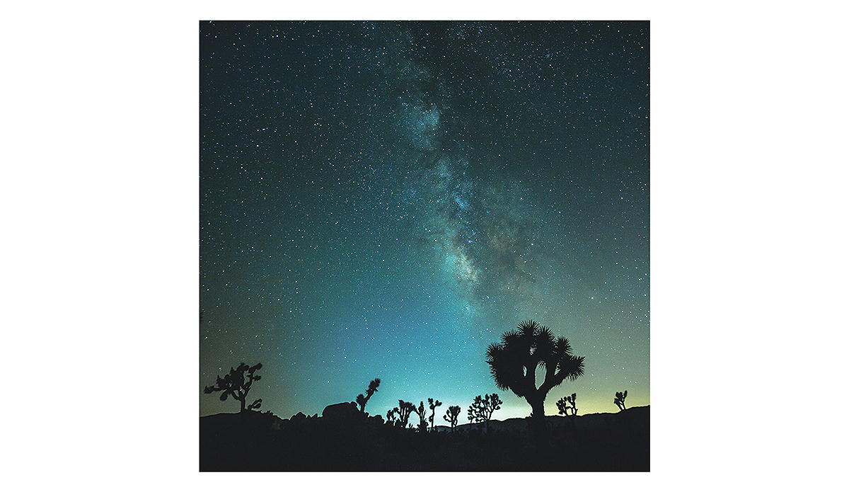 Photo: @vagaryphotoco