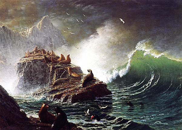 “Seals on the Rocks Farallon Islands.” Albert Bierstadt, 1872.
