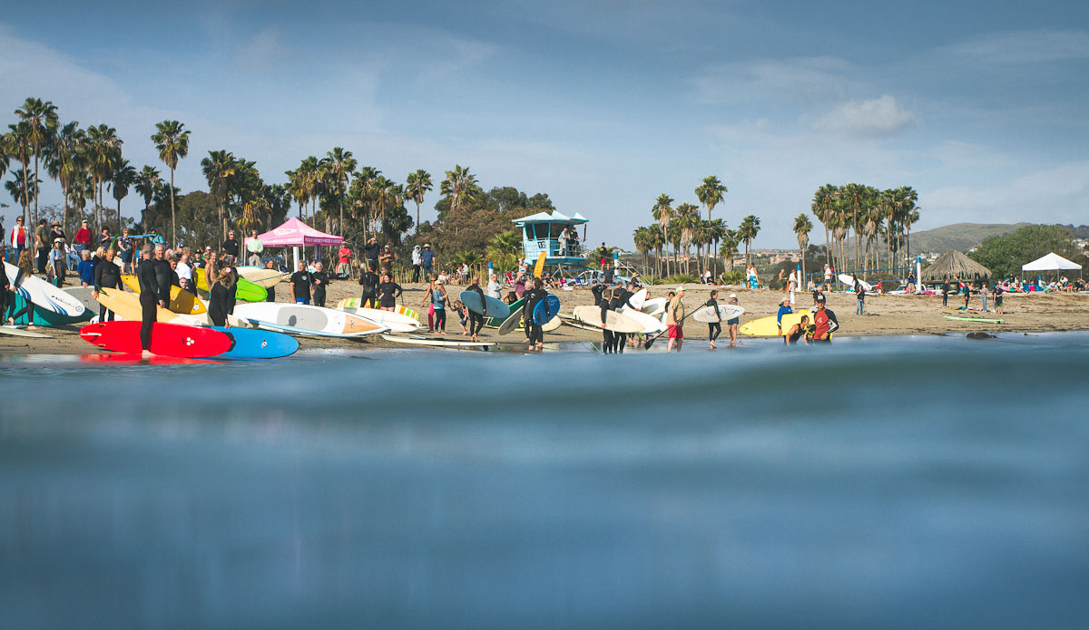 Photo: <a href=\"https://rzcreative.com\"> Robert Zaleski</a>