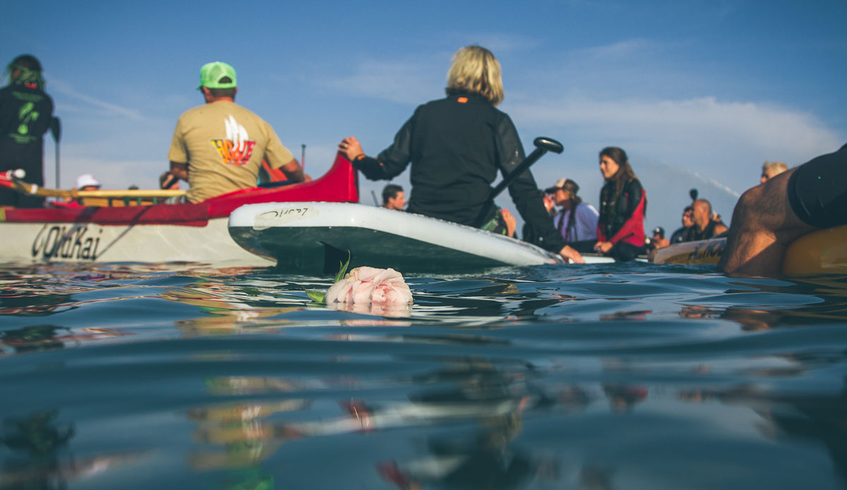 Photo: <a href=\"https://rzcreative.com\"> Robert Zaleski</a>