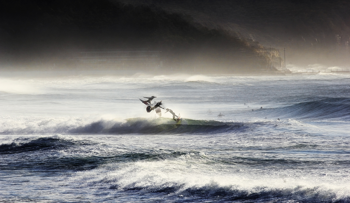 Flight. Photo: <a href=\"https://www.hollytreephoto.com/\">Holly Shoebridge</a>