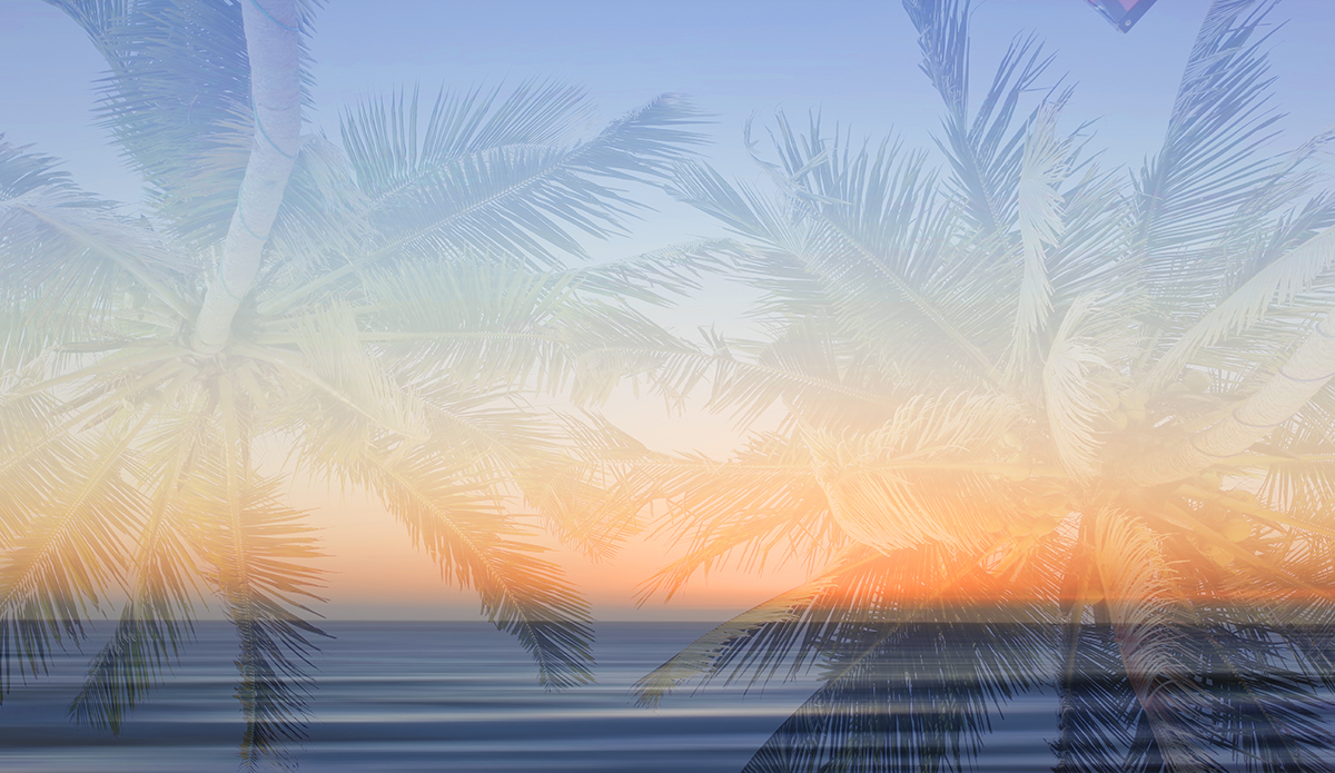 Oasis. Photo: <a href=\"https://www.hollytreephoto.com/\">Holly Shoebridge</a>