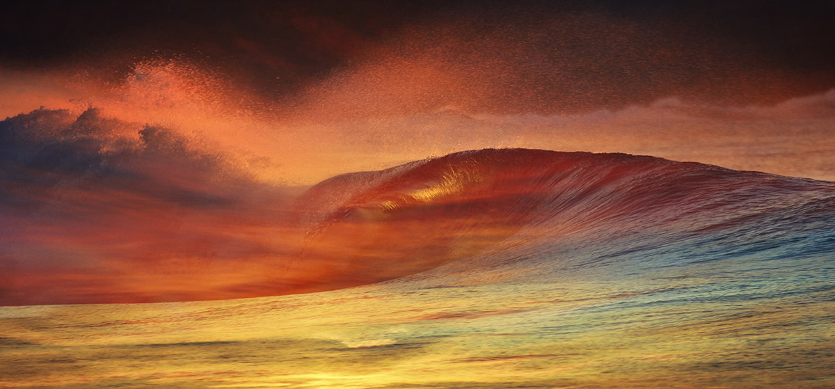 Rainbow peelers. Photo: <a href=\"https://www.hollytreephoto.com/\">Holly Shoebridge</a>