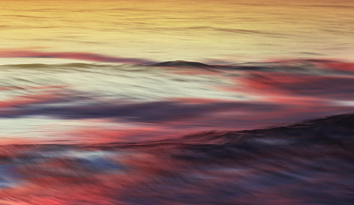 Watercolors. Photo: <a href=\"https://www.hollytreephoto.com/\">Holly Shoebridge</a>