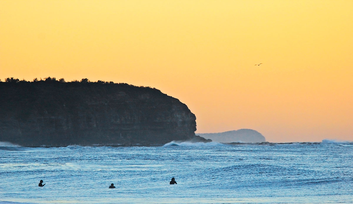 Golden Dawn, Photo: <a href=\"https://www.hollytreephoto.com/\">Holly Shoebridge</a>