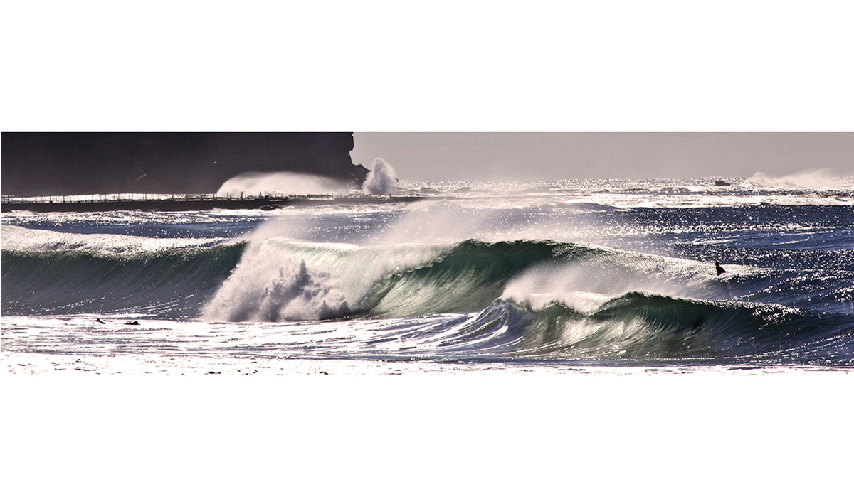 The sun does beautiful things to the water. Photo: <a href=\"https://www.hollytreephoto.com/\">Holly Shoebridge</a>