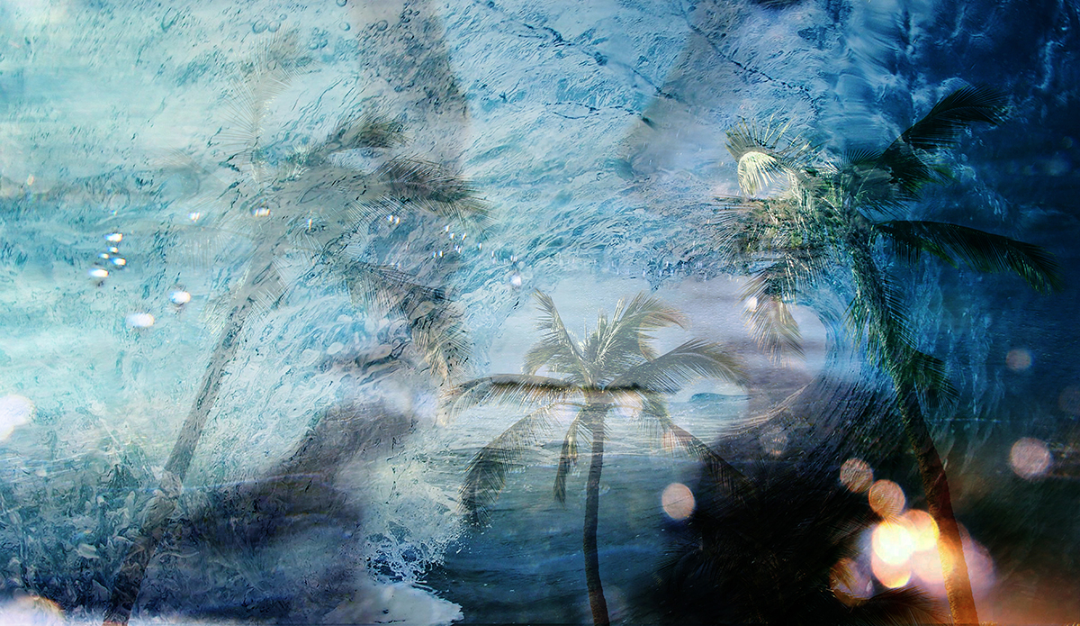  	
Hollytree Photo x Jacob Hughes Creative collaboration blend Hawaii east coast of Australia. Courtesy of Holly Shoebridge