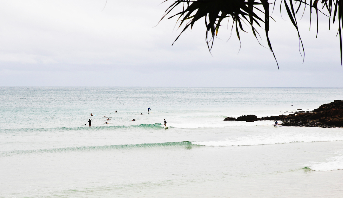 Tiny and perfect little reelers at a popular spot in Queensland. Photo: <a href=\"https://www.instagram.com/hollytreephoto\">@HollyTreePhoto</a>