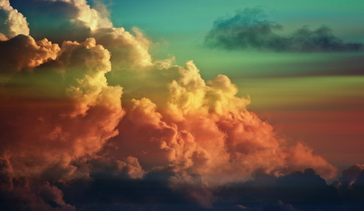 Dreamer. Photo: <a href=\"https://www.hollytreephoto.com/\" target=\"_blank\">Holly Shoebridge</a>