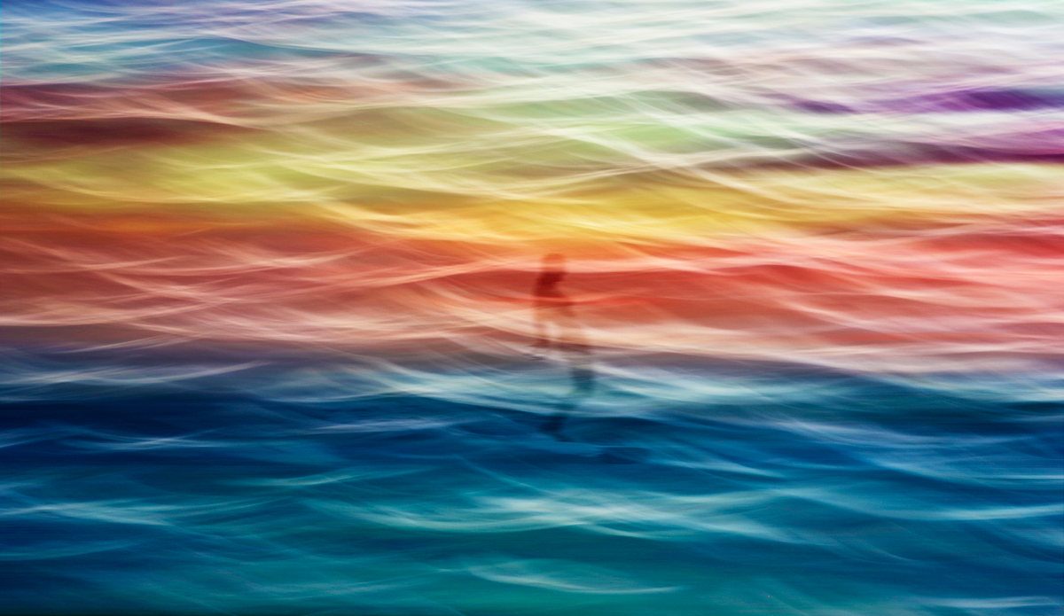 Lady Slider IV. Photo: <a href=\"https://www.hollytreephoto.com/\" target=\"_blank\">Holly Shoebridge</a>