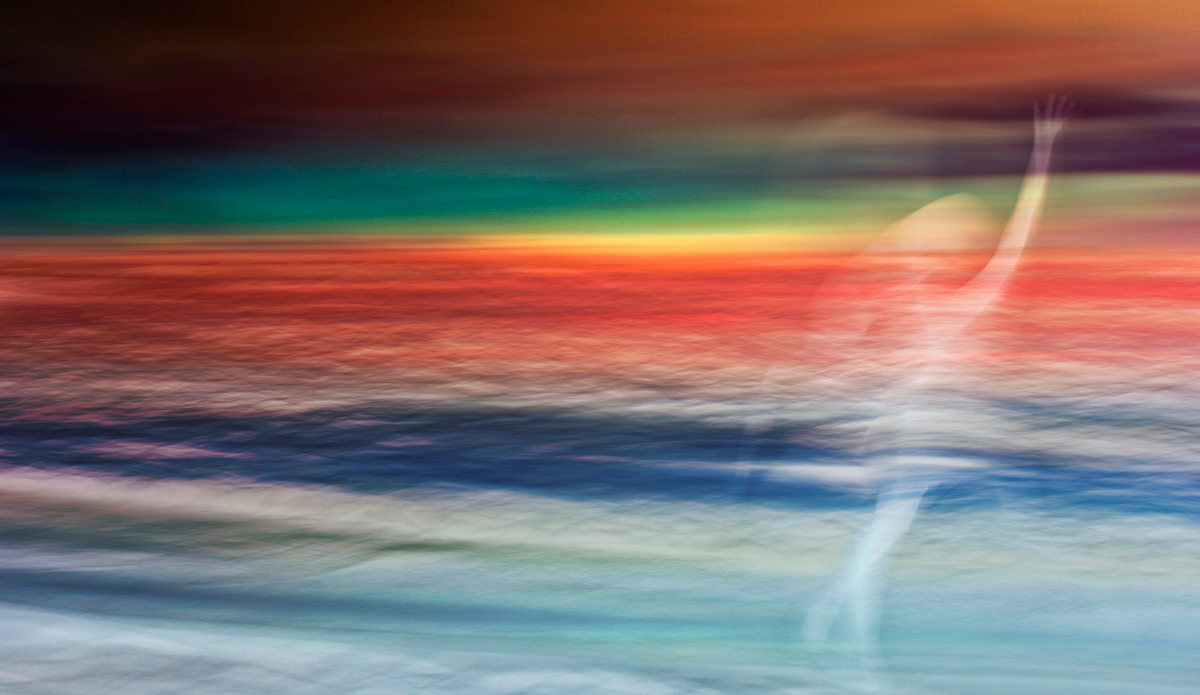 Shoreline dancer. Photo: <a href=\"https://www.hollytreephoto.com/\" target=\"_blank\">Holly Shoebridge</a>