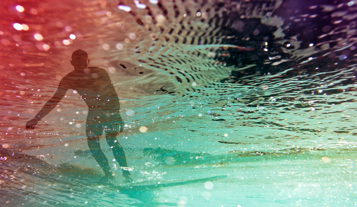 Silhouettes and stardust. Photo: <a href=\"https://www.hollytreephoto.com/\" target=\"_blank\">Holly Shoebridge</a>