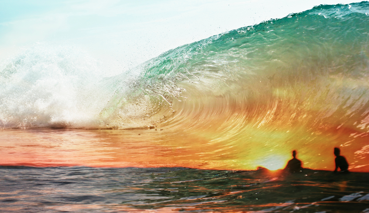 Together we float so delicately. Photo: <a href=\"https://www.hollytreephoto.com/\" target=\"_blank\">Holly Shoebridge</a>