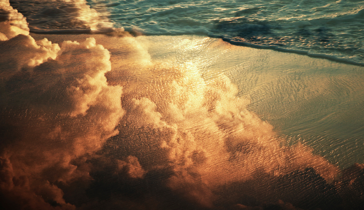 Tread softly. Photo: <a href=\"https://www.hollytreephoto.com/\" target=\"_blank\">Holly Shoebridge</a>