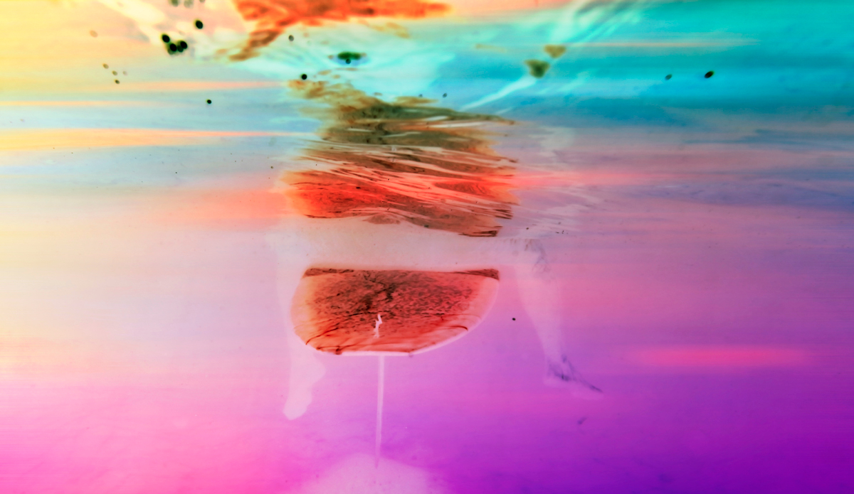 Under the sea. Photo: <a href=\"https://www.hollytreephoto.com/\" target=\"_blank\">Holly Shoebridge</a>