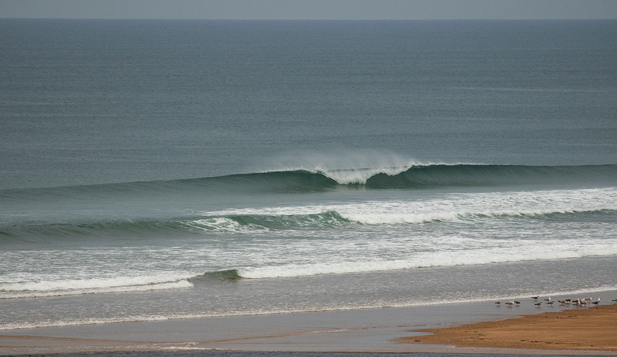 Lockdown at Moliets. Photo: <a href=\"https://www.instagram.com/jeromechobeauxfr/\">Jérôme Chobeaux</a>