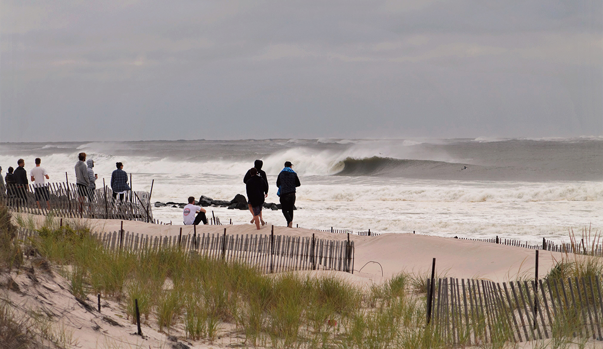 Photo: Brian Shannon