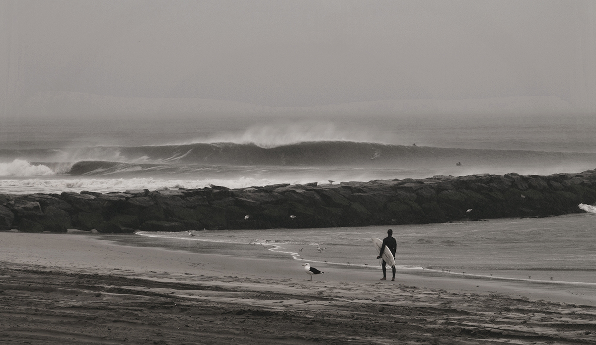 Photo: Brian Shannon