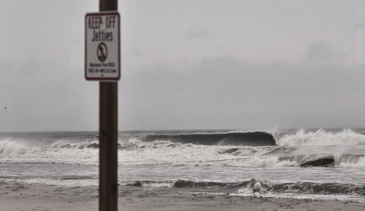 Photo: Brian Shannon