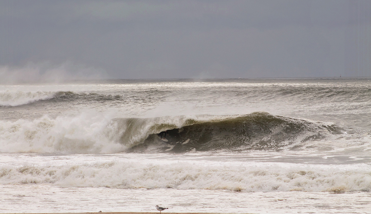 Photo: Brian Shannon