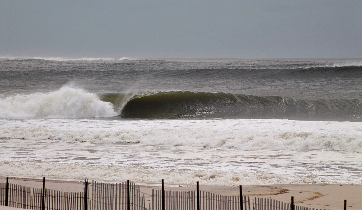 Photo: Brian Shannon