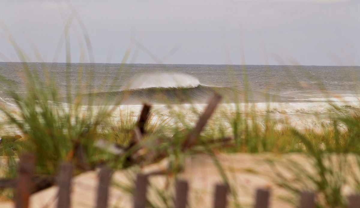 Photo: Brian Shannon