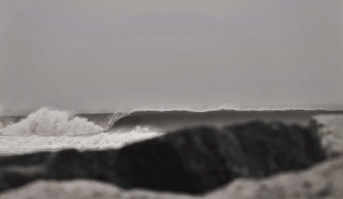 Photo: Brian Shannon