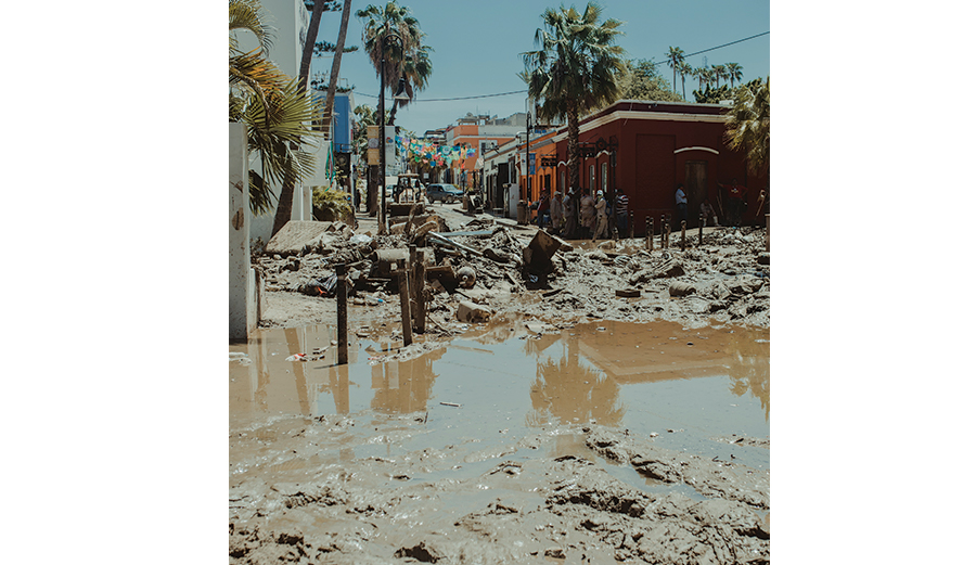 Photo: <a href=\"https://www.swelldani.com/\"> Daniela Fernandez </a>