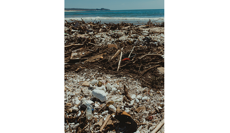 Photo: <a href=\"https://www.swelldani.com/\"> Daniela Fernandez </a>