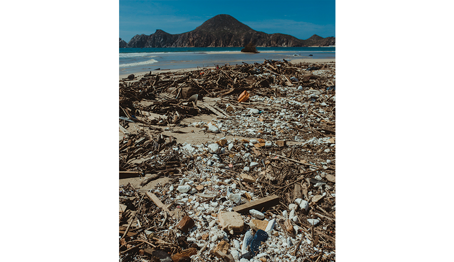 Photo: <a href=\"https://www.swelldani.com/\"> Daniela Fernandez </a>